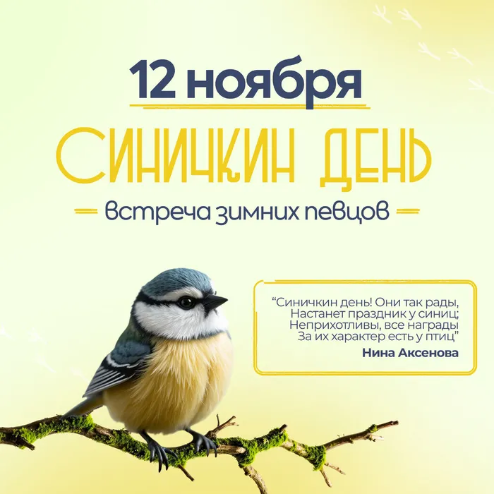 Синички без вз 0