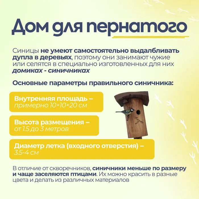 Синички без вз 5