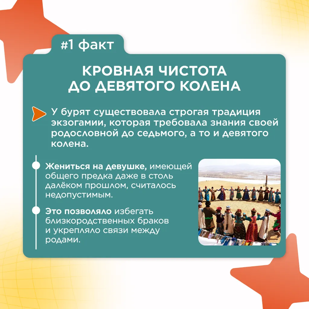 семь фактов семья 2
