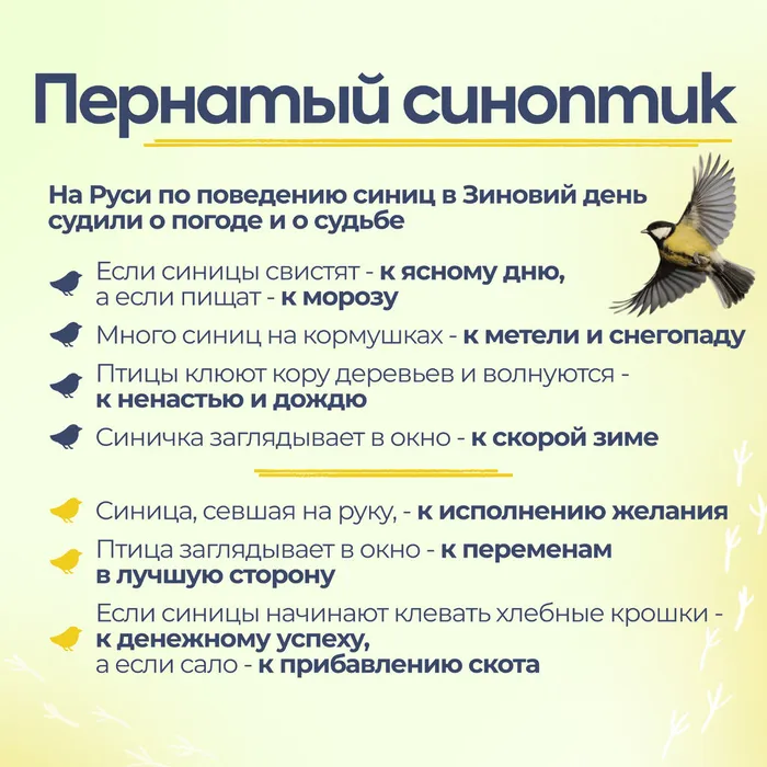 Синички без вз 7