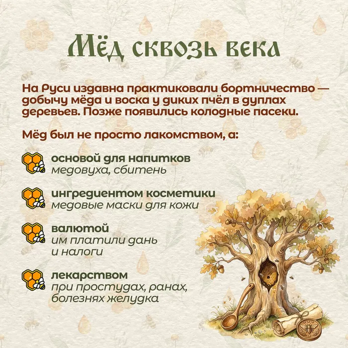 Медовый спас без вз 6
