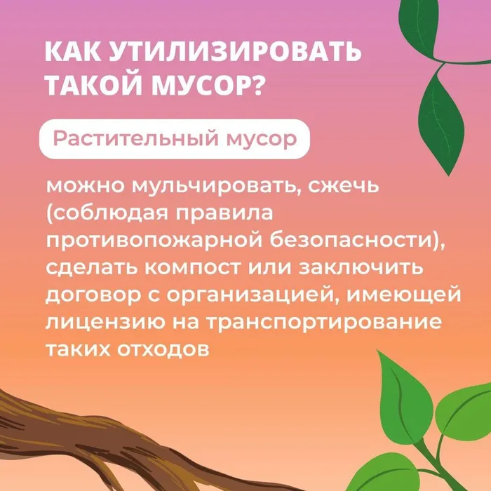 gLIxyc1vcdYuCYd7OrU0e2NNeRpDMVnUS4R-ciVlu_sRUJqLcdv90iMxFFa26y__VZlrvaFV2yPoHB0I0wH4LzLq