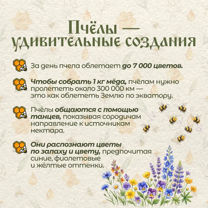 Медовый спас без вз 5