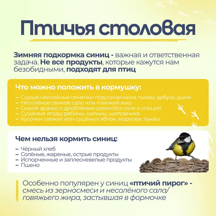 Синички без вз 6