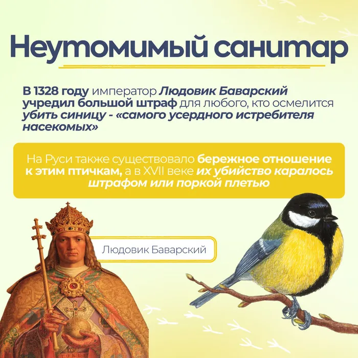 Синички без вз 4