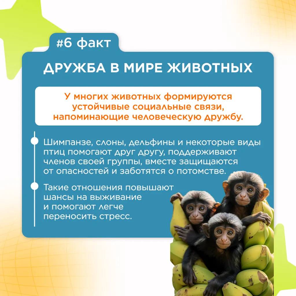 семь фактов о дружбе 7