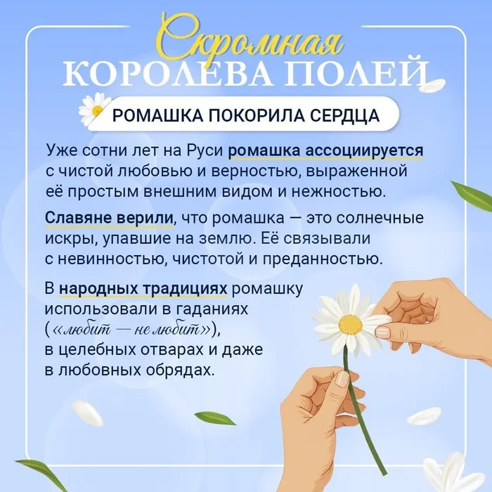 VvY7p17bPDgDZQ_Xdc3FxESTGwNVIGhqIUt-AQE3PqUoAU722_nXLaJu9E8vqNUMEKpxDeKabXMSpu5yEqDul3Px