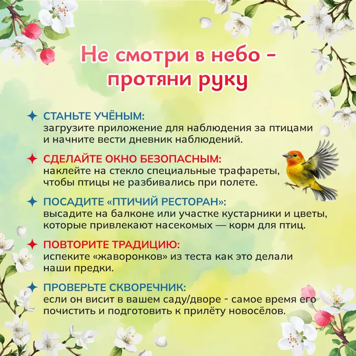 день птиц 10