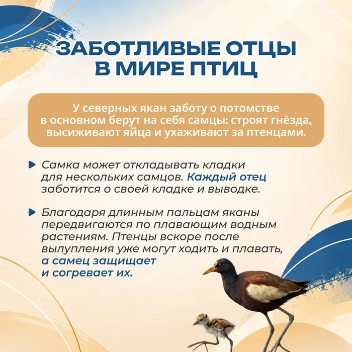 день отца 3