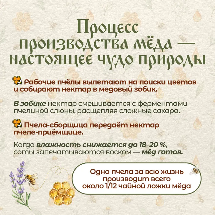 Медовый спас без вз 4