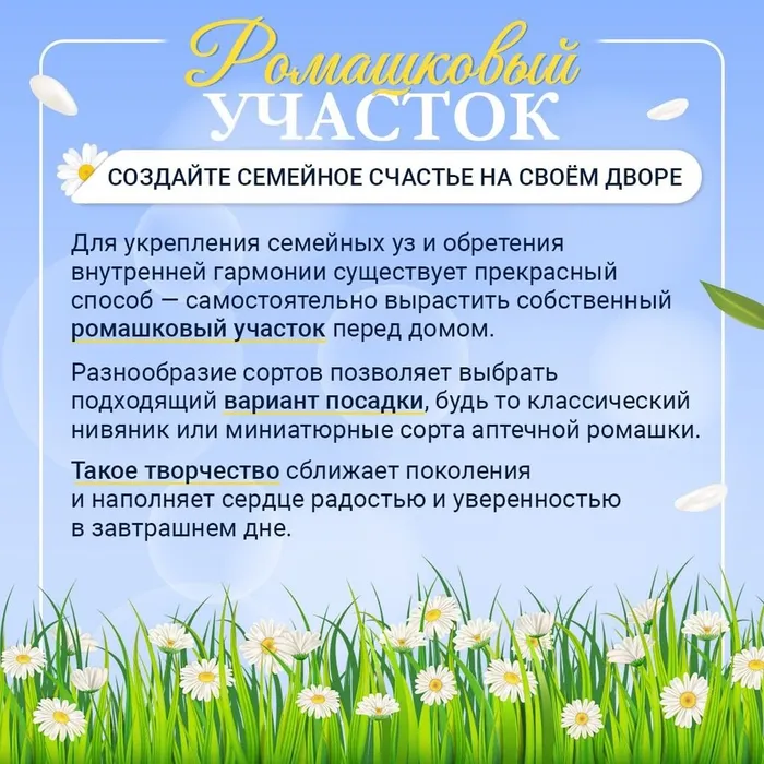 BRDcEMvU5mwoiiDLvA4g_ZfIcCJEN8Xi7Zy0W-u0kUL_hOlrtVaqjkRQTu28SosQDaie5d49iR9QLv-cvMPXj9NS