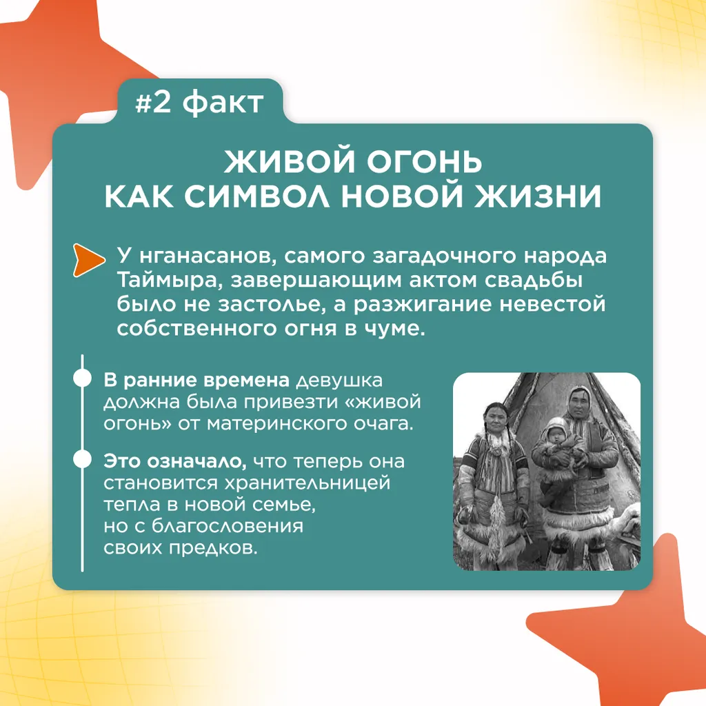 семь фактов семья 3