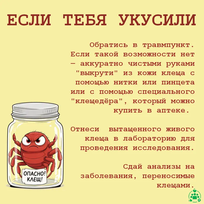 клещи_5
