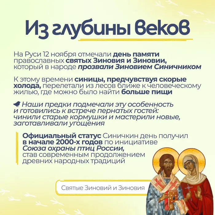 Синички без вз 1